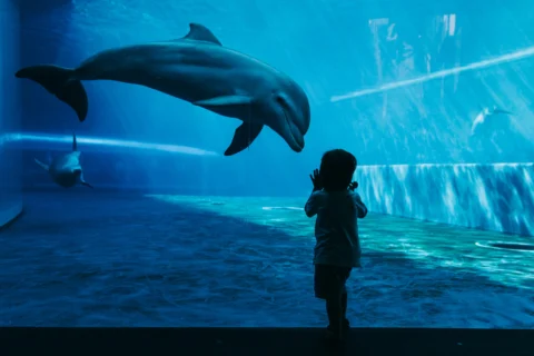 taking-baby-to-sea-world