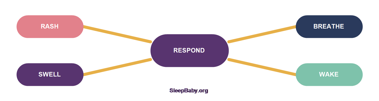 Transparent SleepBaby response rail connecting rash, swelling, breathing and waking checks to a central respond decision