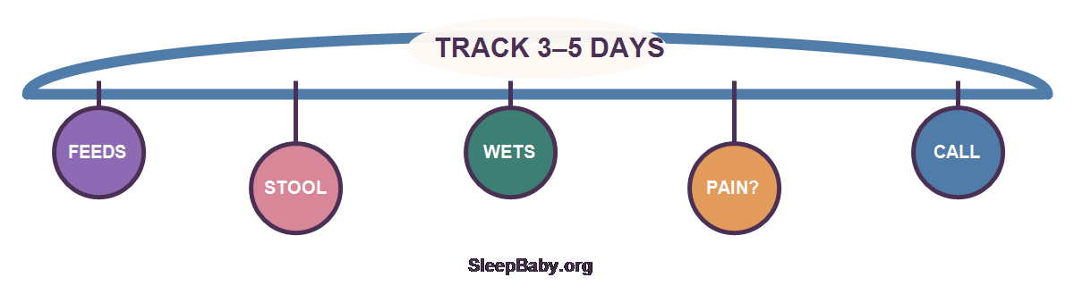 Transparent three-to-five-day tracking rail for feeds, stool, wet diapers, pain and clinician calls